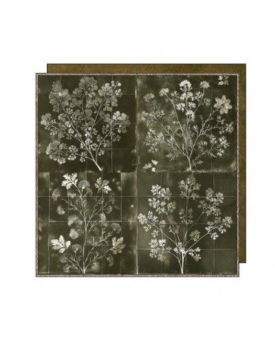 HERBIER_coussin housse_45x45cm